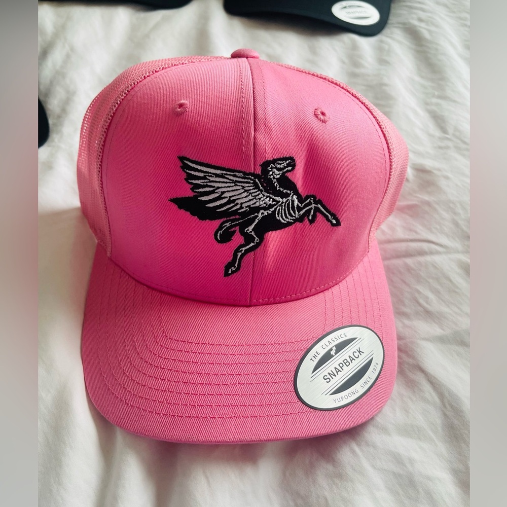 Pink Pegasus Dallas Hat